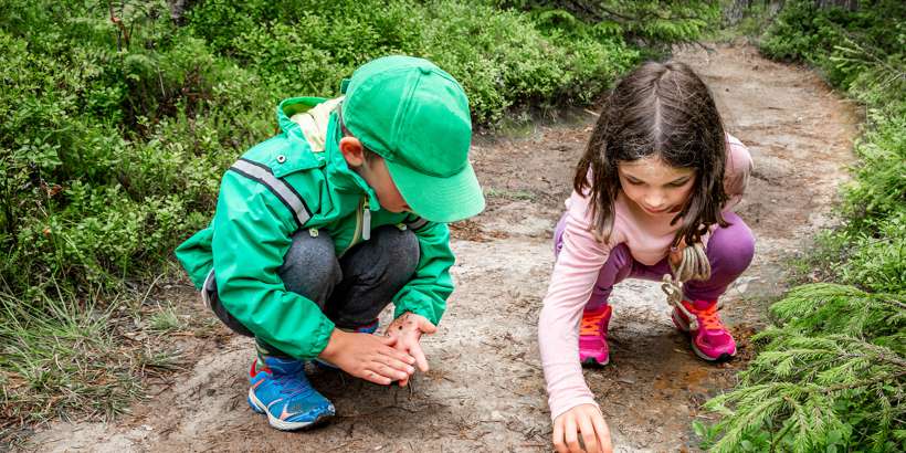 Kinder entdecken die Natur